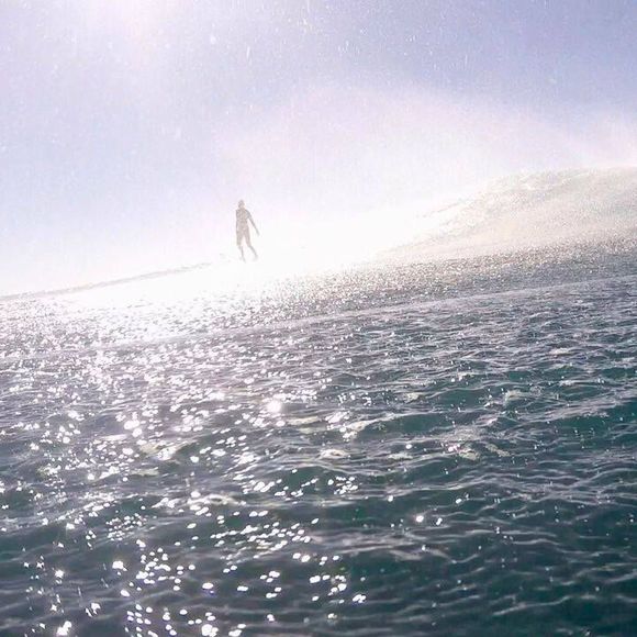 Meet your Posher, Sam - Picture 1 of 1